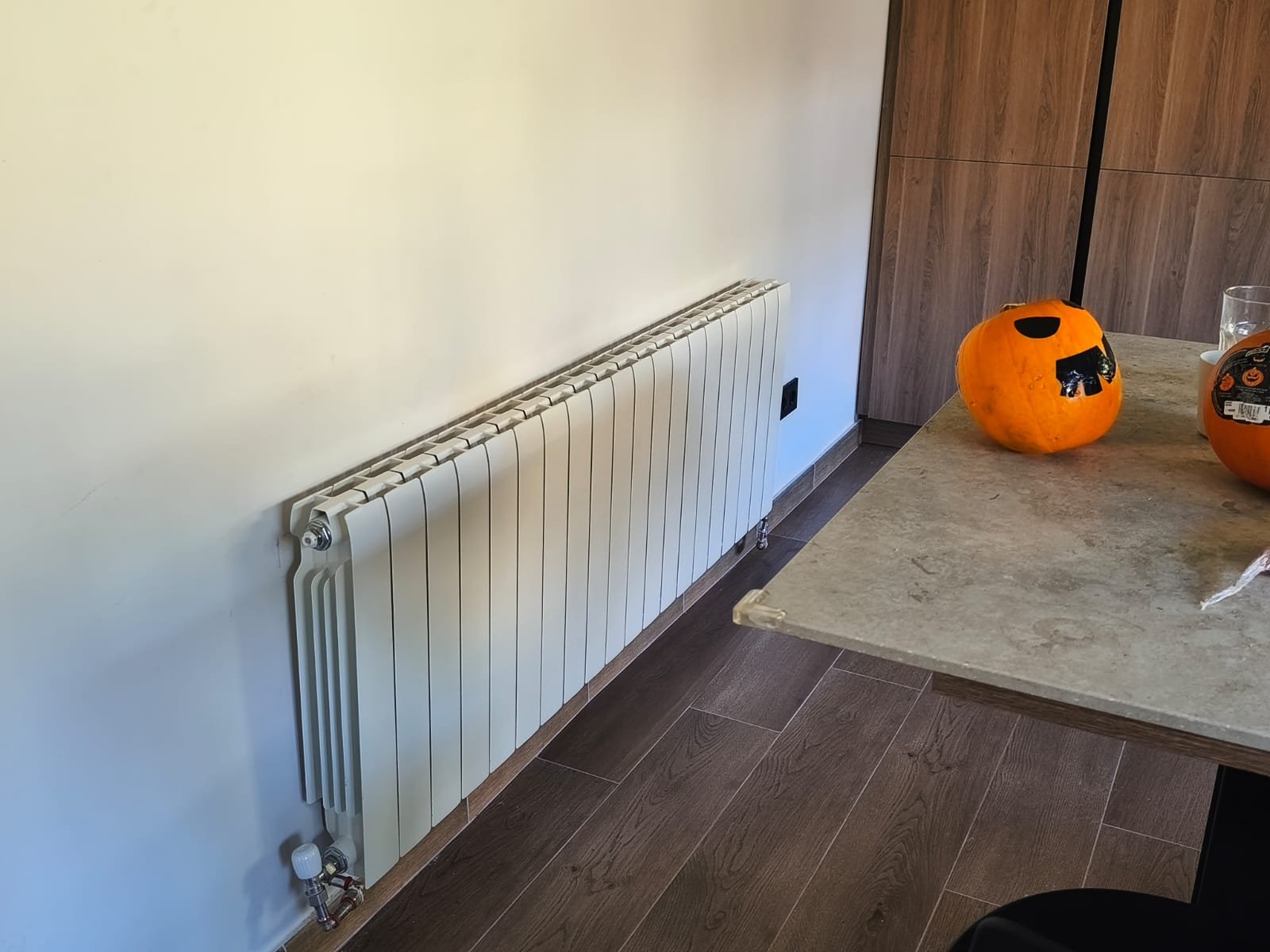 WhatsApp Image 2025-11-12 at 12.49.21 (1)