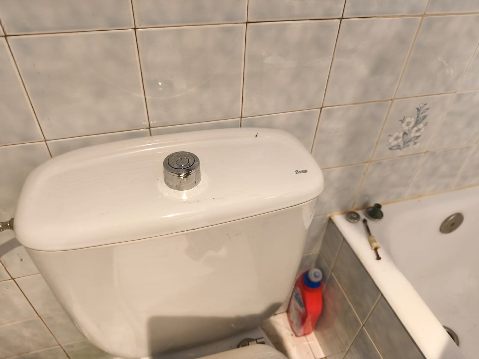 WhatsApp Image 2025-11-12 at 12.49.23